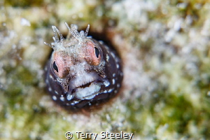 'Small is beautiful'. I'm a huge fan of the small things ... by Terry Steeley 